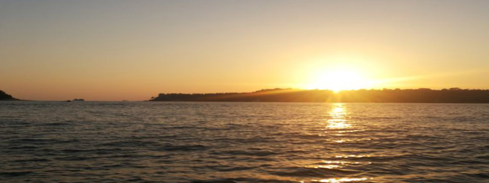 Namaste & Welcome !!