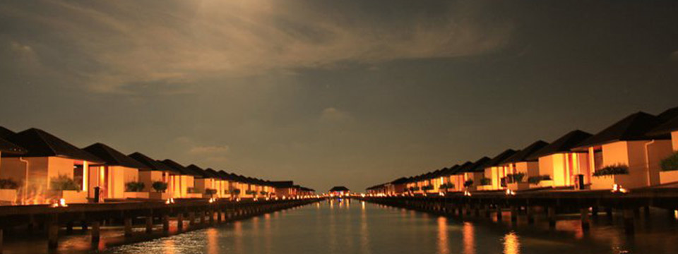 The Conference 2014 !!